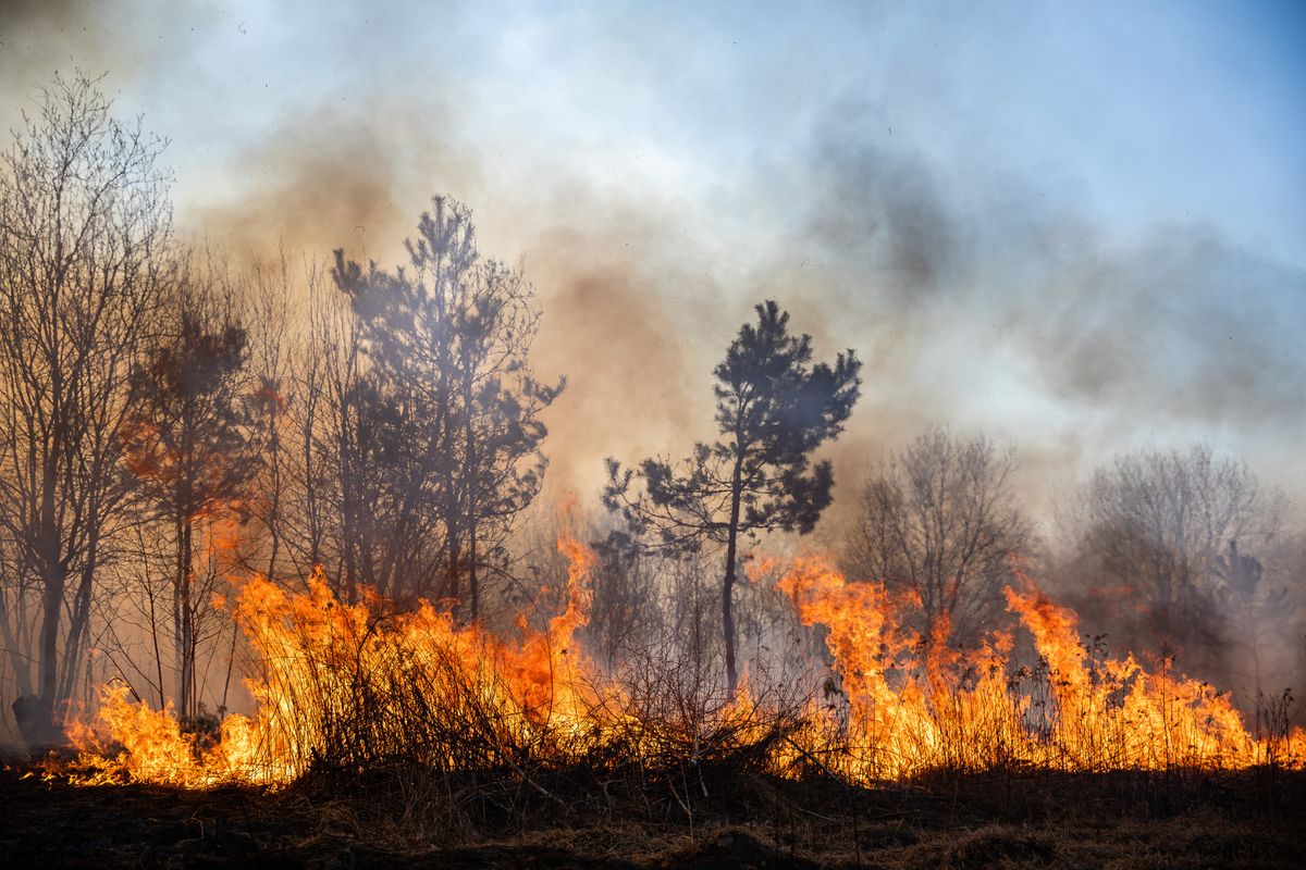 Turyści chcieli rozpalić ognisko na terenie Parku Narodowego Czeska Szwajcaria - zdjęcie ilustracyjne