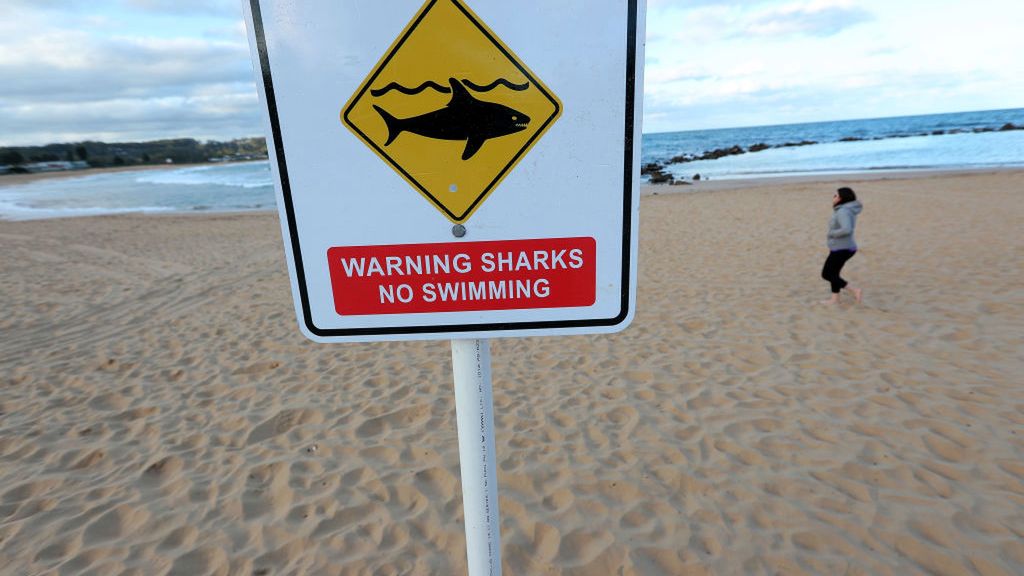 Zdjęcie okładkowe artykułu: Getty Images / Tony Feder / Na zdjęciu: zamknięta plaża dla surferów