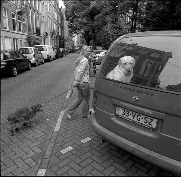 „Dog Stories" - pieskie życie na czarno-białych fotografiach Roberta Kresy 20