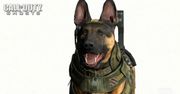 Deja vu of Duty - tę scenę chyba już gdzieś widzieliśmy