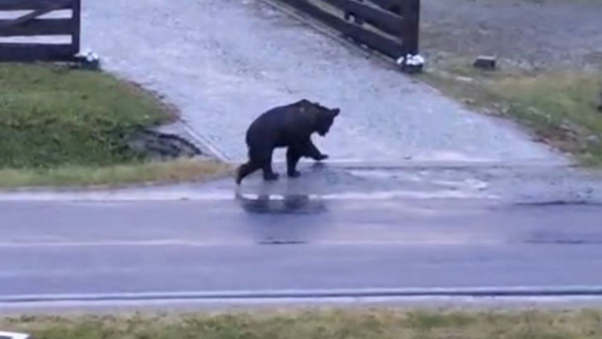 Zdjęcie ilustracyjne.