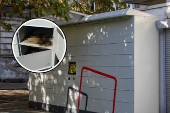 Kot konał w skrytce. Policja bada dwie wersje wydarzeń