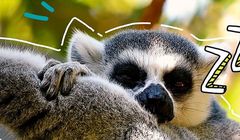 Soczyste i orzeźwiające napoje w nowej reklamie Hortexu (wideo)