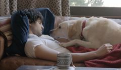 Labrador Budweisera promuje rozsądne picie alkoholu (wideo)