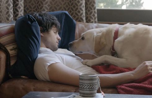 Labrador Budweisera promuje rozsądne picie alkoholu (wideo)