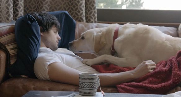 Labrador Budweisera promuje rozsądne picie alkoholu (wideo)