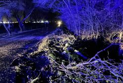 Zoltan szalał we Wrocławiu. Powalał drzewa i zrywał sieci