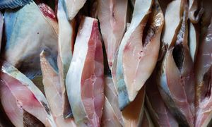 Jedz zamiast dorsza. Jedna z najzdrowszych ryb