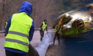 Bariery stanęły przy drodze w rezerwacie Krutynia Górna. Powód może zaskoczyć