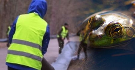 Bariery stanęły przy drodze w rezerwacie Krutynia Górna. Powód może zaskoczyć