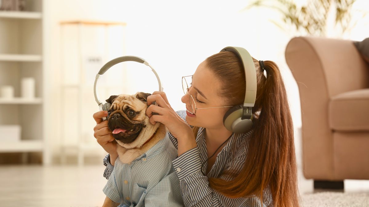 Muzyka dla zwierząt wcale nie jest fanaberią 
