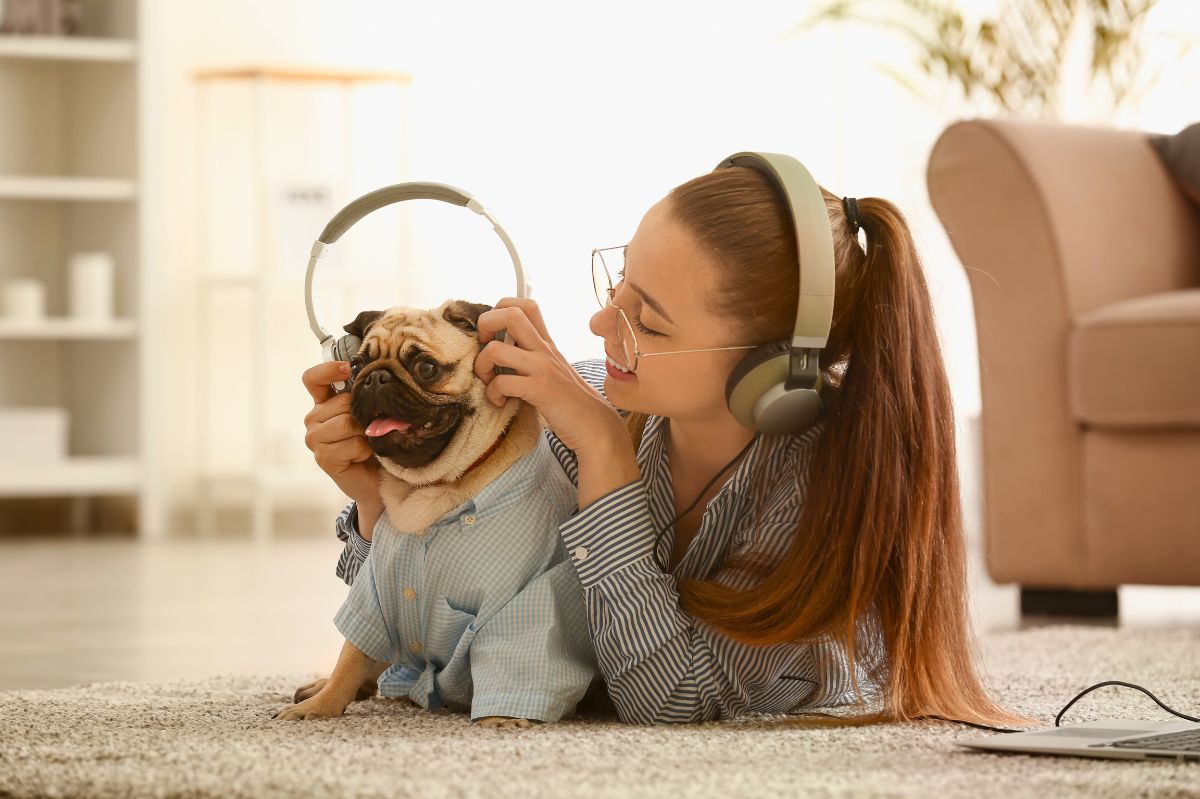 Muzyka dla zwierząt wcale nie jest fanaberią 