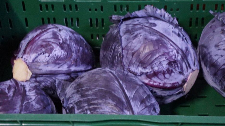 Jaka jest aktualna cena kapusty w hurcie?
