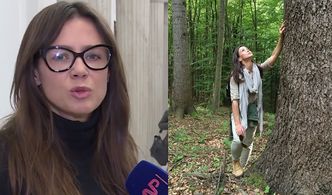 Rusin atakuje Lasy Państwowe: "To przedsiębiorstwo, które zarabia, a powinno służyć Polakom!"