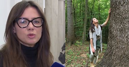 Rusin atakuje Lasy Państwowe: "To przedsiębiorstwo, które zarabia, a powinno służyć Polakom!"