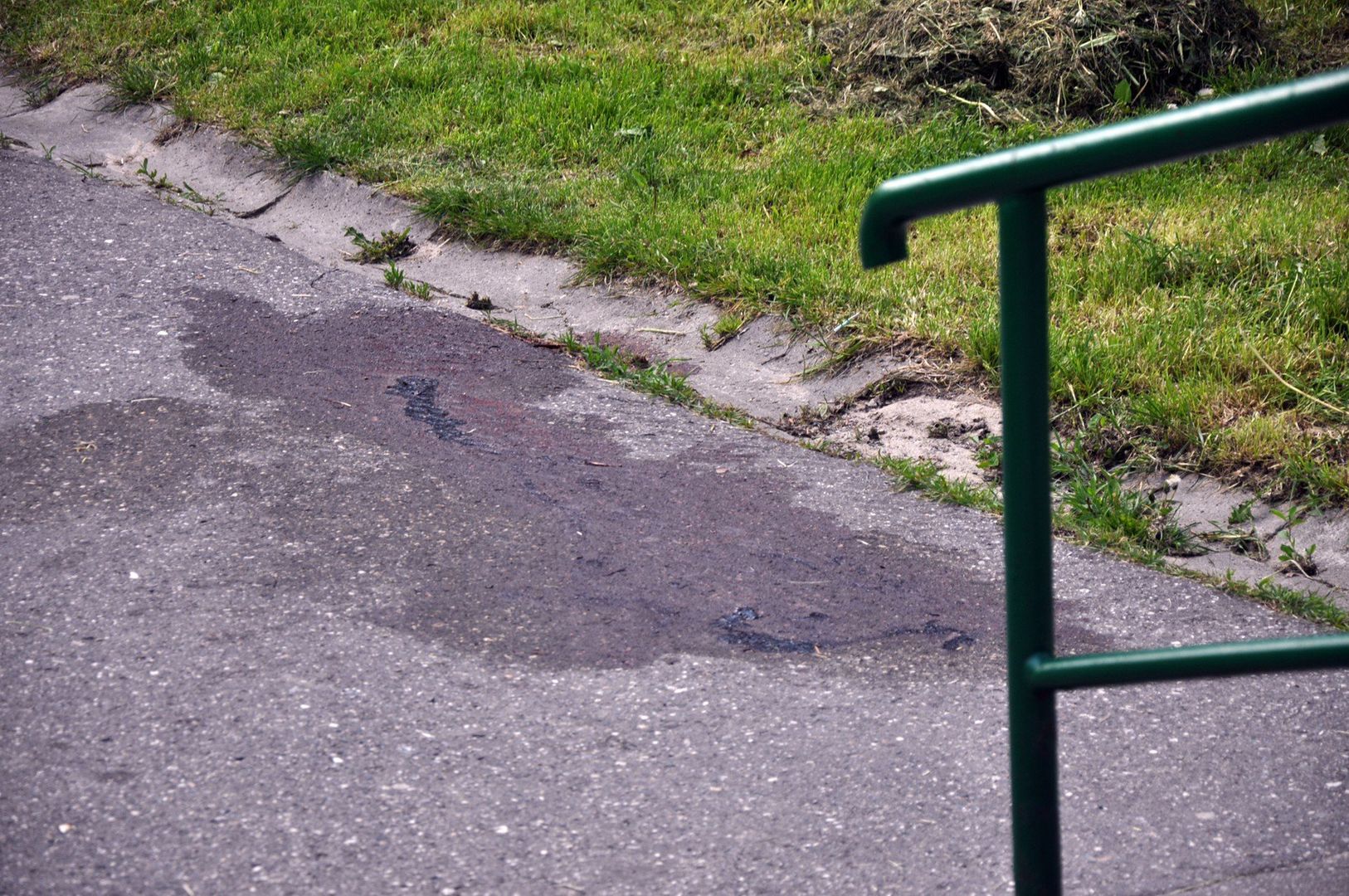 Walka między kibicami Polonii i Zawiszy w Bydgoszczy. Były kominiarki i krew, ale zgłoszenia nie było