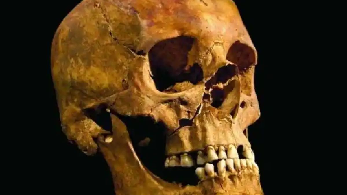 Czaszka ze śladami operacji ma ponad 5 tys. lat.