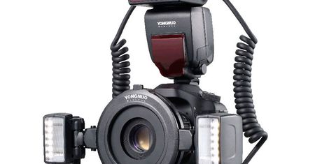 Yongnuo YN-24EX, czyli fotografia makro z błyskiem