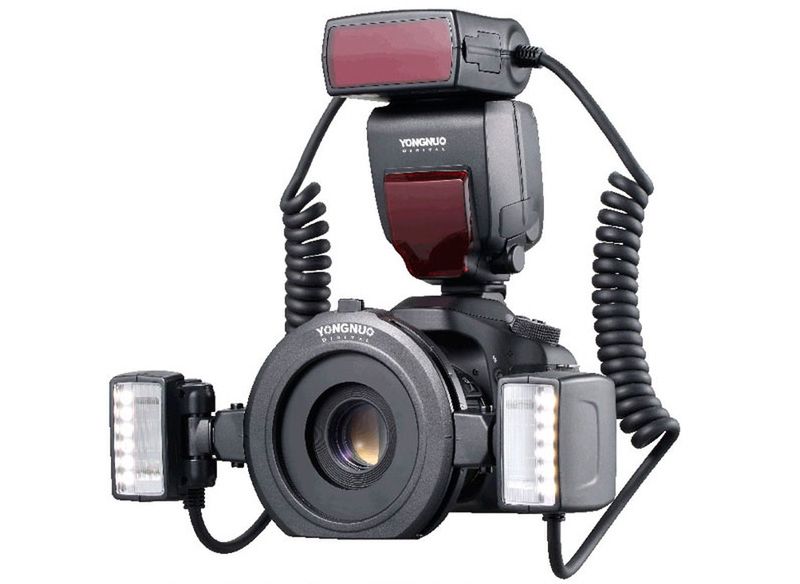Yongnuo YN-24EX, czyli fotografia makro z błyskiem 1