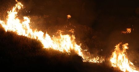Pożary na Cyprze. "Nigdy wcześniej nie oglądaliśmy czegoś podobnego"