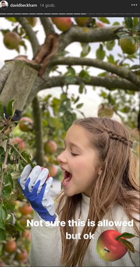 David Beckham z córką Harper