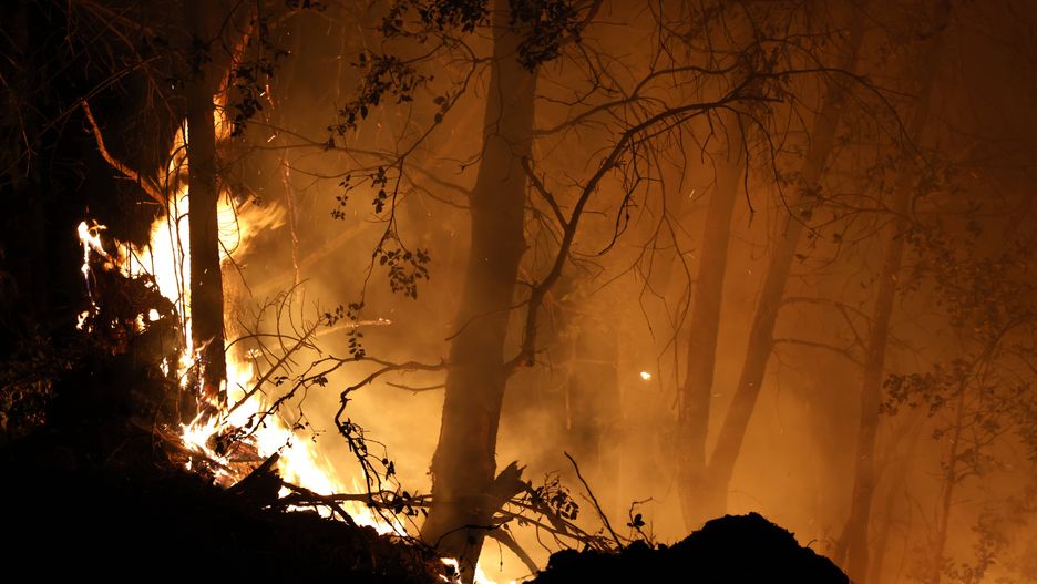 Park Fire in Butte County, California burns over 170,000 acres
epa11498545 Trees burn from the Park Fire, which has currently burned over 170,000 acres according to the California Department of Forestry and Fire Protection (Cal Fire), in Butte County, California, USA, 26 July 2024. According to a press release from Butte County District Attorney Mike Ramsey, a 42-year-old man from Chico, California was arrested for allegedly pushing a burning car into a gully which set off the Park Fire. As of today, according to Cal Fire, the fire was 0 percent contained.  EPA/JOHN G. MABANGLO 
Dostawca: PAP/EPA.
JOHN G. MABANGLO