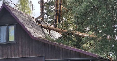 Potężny bilans wichur w Lubelskiem. Setki interwencji strażaków, dziesiątki uszkodzonych dachów