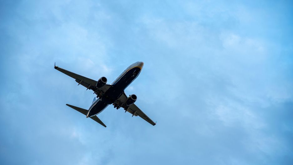 Samolot linii Ryanair zderzył się z ptakiem