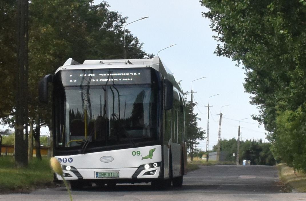 Bezpłatna komunikacja miejska tylko dla mieszkańców Malborka?