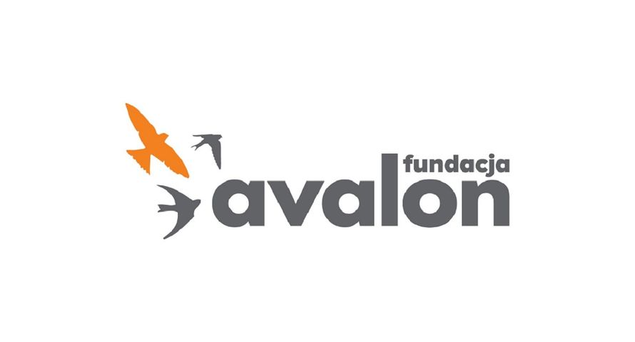 Agencja Oxymoron wygrała konkurs ofert Fundacji Avalon