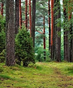 Dolnośląska Organizacja Turystyczna powiela szkodliwe stereotypy. Nazwy wycieczek są krzywdzące