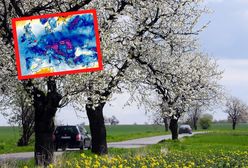 -20 i śnieżyce. Najnowsze prognozy mówią też o przyjściu wiosny