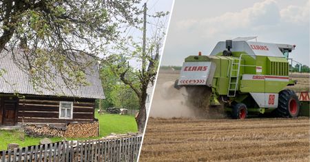 Żyją z rolnictwa. W polu pracują nawet trzylatki. "Praca jest najważniejsza"