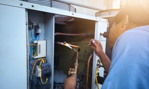 Nie płać "gapowego". Te usługi są droższe latem nawet o 45 proc.