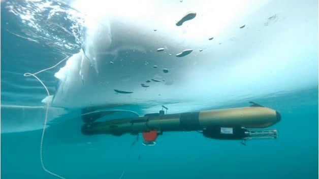 Czego szukasz robociku? 1