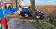 Auto owinęło się na drzewie [Foto-galeria]
