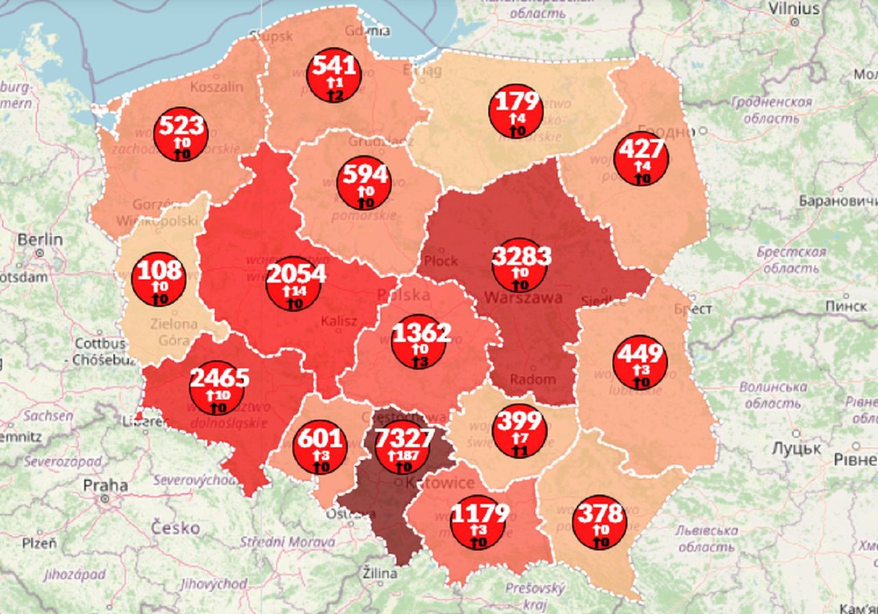 Koronawirus w Polsce. Już ponad 10 tysięcy osób wygrało walkę z COVID-19 [Aktualna mapa]