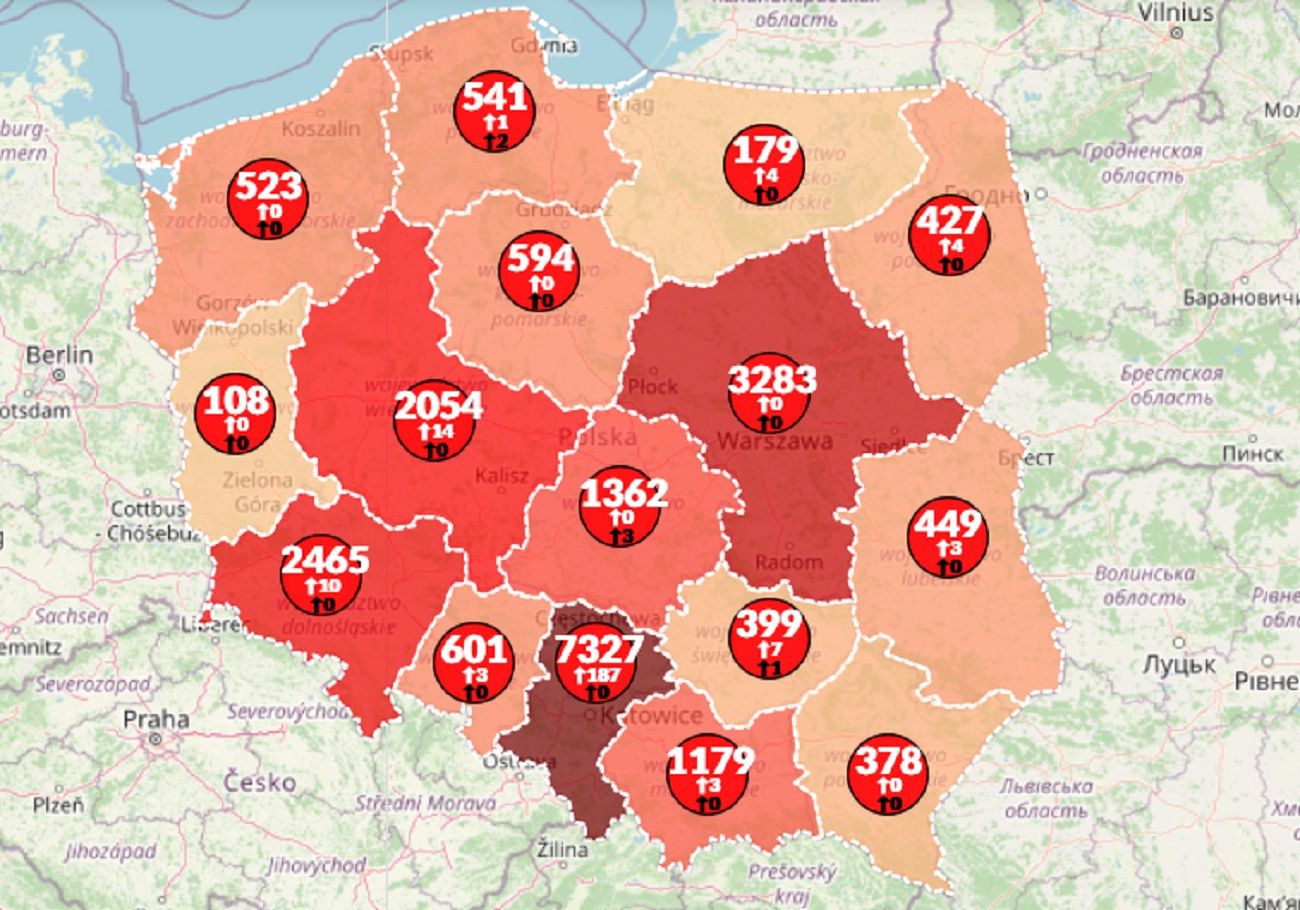 Koronawirus w Polsce. Aktualna mapa zarażeń