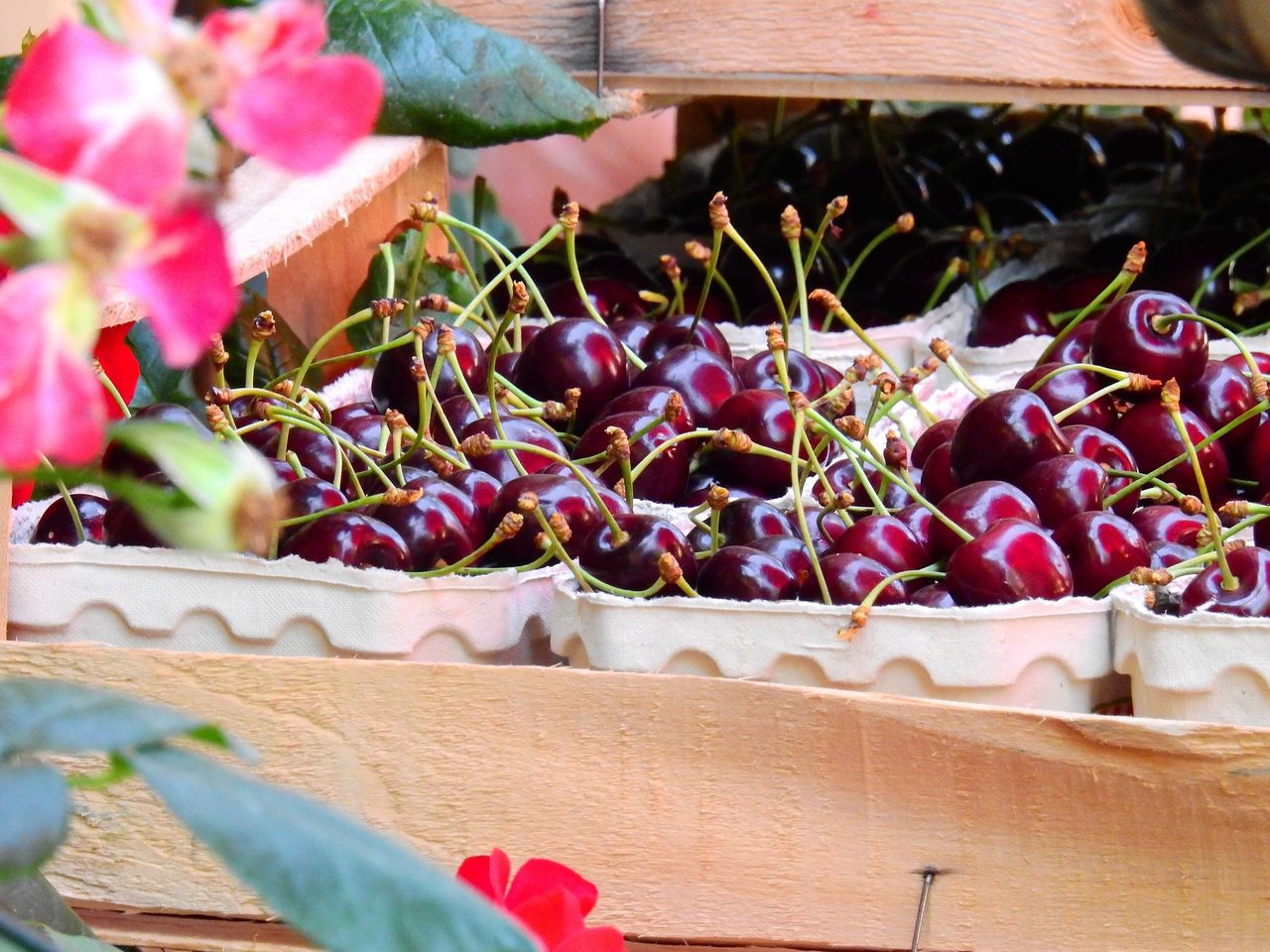 Cena czereśni szokuje. Ile trzeba zapłacić za kilogram owoców?