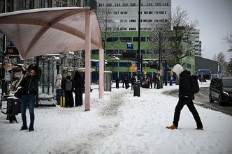 Polacy masowo wracają z emigracji. Teraz padło na Holandię
