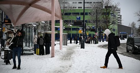 Polacy masowo wracają z emigracji. Teraz padło na Holandię