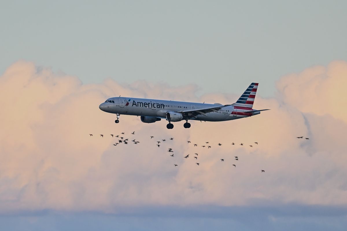 Samolot linii American Airlines musiał zawrócić po incydencie na pokładzie. 