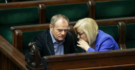 Branża drzewna pisze do premiera. "Sytuacja stała się dramatyczna"