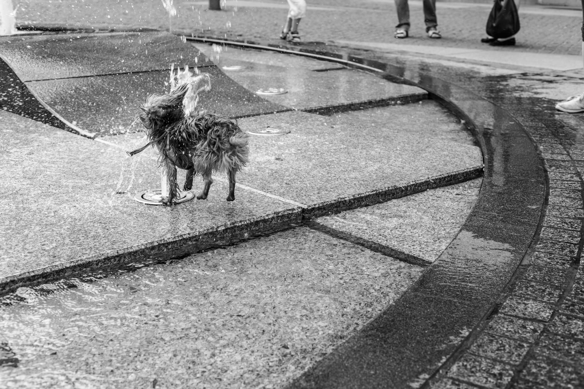 Zaczynasz uprawiać fotografię uliczną? Te rady mogą ci się przydać 1