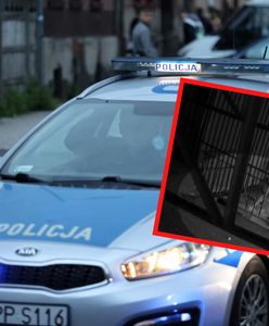 Zabił kota ze szczególnym okrucieństwem. Policja opublikowała nagranie