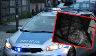 Zabił kota ze szczególnym okrucieństwem. Policja opublikowała nagranie