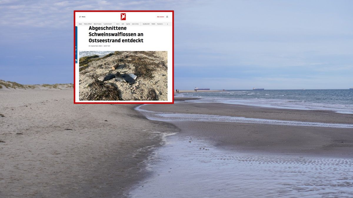 Przykre odkrycie nad Morzem Bałtyckim w Niemczech.
