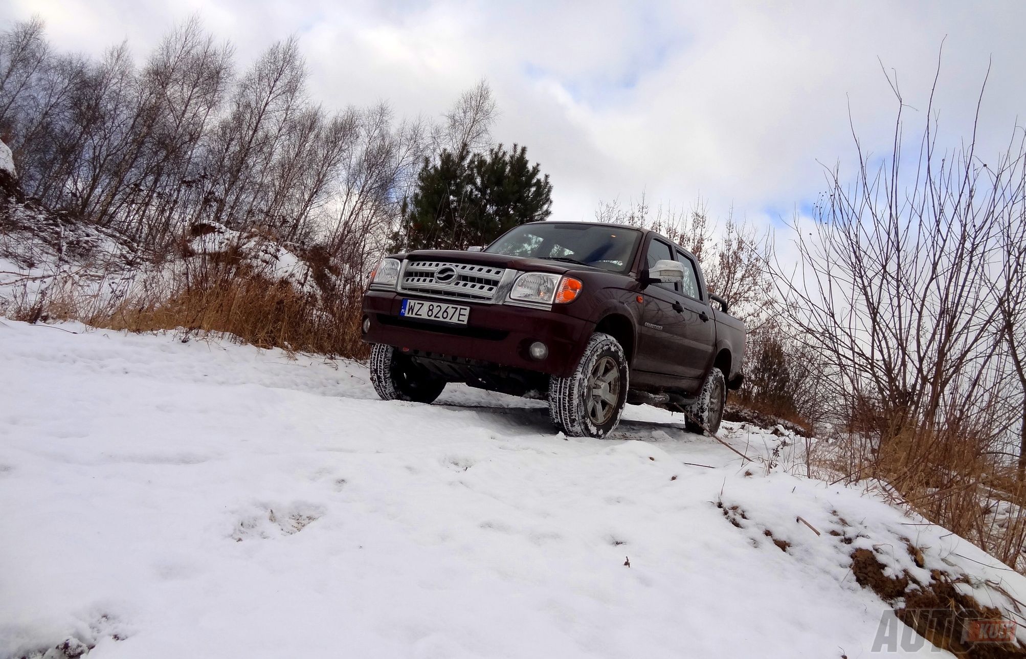 ZX Auto Grand Tiger test