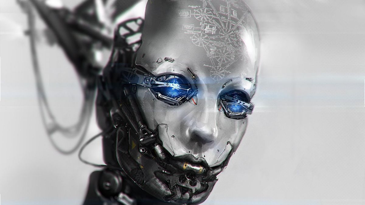 Paweł Majka: „Miejsce w hierarchii” 1