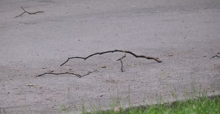 Niebezpieczna pogoda w powiecie lubelskim. Strażacy odbierają już pierwsze zgłoszenia